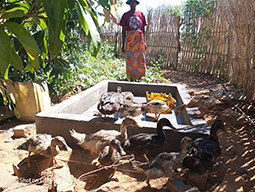 Projets de Vanastalee soutenu par Partage sans Frontières