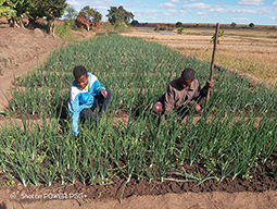 Projet à Sakalalina soutenu par Partage sans Frontières