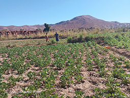 Projet à Sakalalina soutenu par Partage sans Frontières