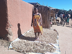 Projet à Sakalalina soutenu par Partage sans Frontières