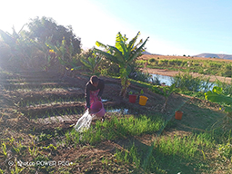 Projet à Sakalalina soutenu par Partage sans Frontières