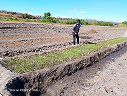 Projet à Sakalalina soutenu par Partage sans Frontières