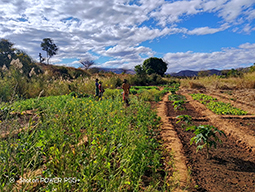 Projet à Sakalalina soutenu par Partage sans Frontières