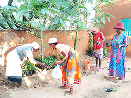 Projet à Sakalalina soutenu par Partage sans Frontières