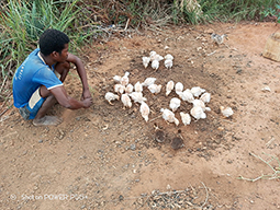 Projet à Sakalalina soutenu par Partage sans Frontières