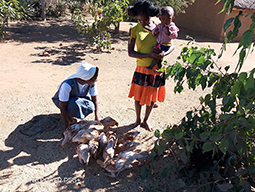 Projet à Sakalalina soutenu par Partage sans Frontières