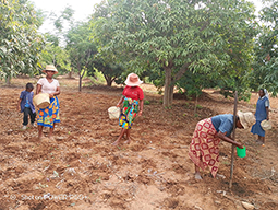Projet à Sakalalina soutenu par Partage sans Frontières